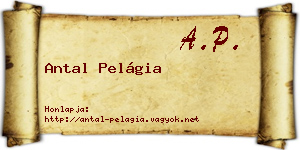 Antal Pelágia névjegykártya